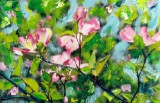 Dogwood Blossoms